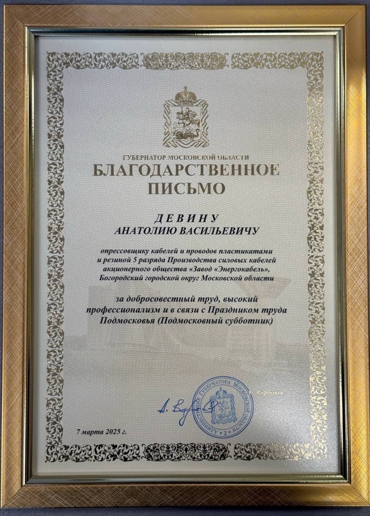 благодарственное письмо за свой высокий профессионализм и добросовестный труд