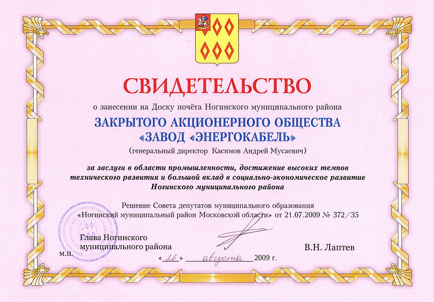 Свидетельство о занесении на доску почета Ногинского муниципального района 2009г